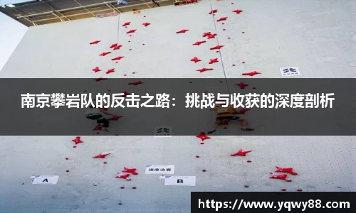 南京攀岩队的反击之路：挑战与收获的深度剖析