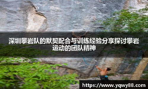 深圳攀岩队的默契配合与训练经验分享探讨攀岩运动的团队精神